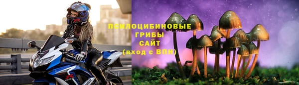 каннабис Алзамай