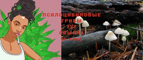 спиды Алексин
