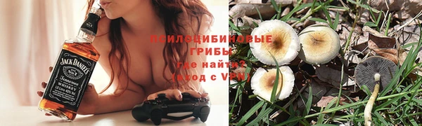 каннабис Алзамай
