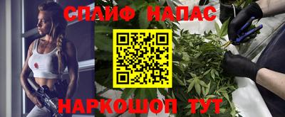 spice Гусев