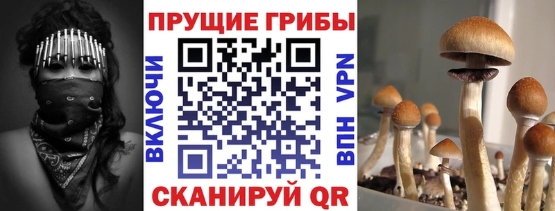 ОМГ ОМГ зеркало  Нововоронеж  Галлюциногенные грибы мухоморы 