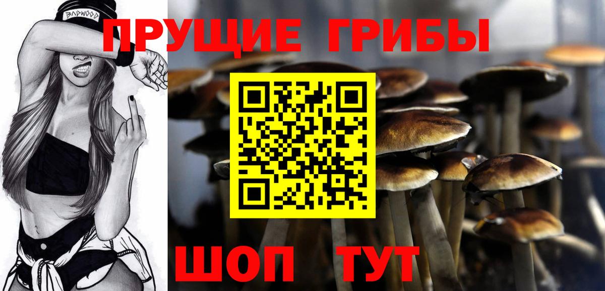 Галлюциногенные грибы MAGIC MUSHROOMS Нововоронеж